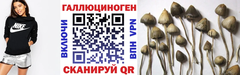 Псилоцибиновые грибы Psilocybe  Камбарка 