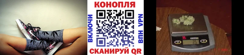 площадка телеграм цены Камбарка Бошки Шишки сатива